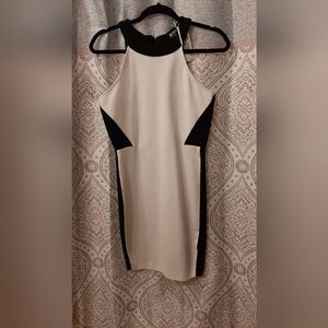 White and Black Buffalo David Bitton bodycon cocktail party dress